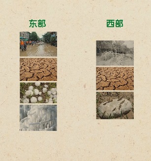 我国常见的自然灾害