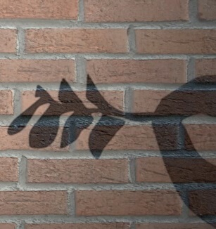 不一般的影子 投影