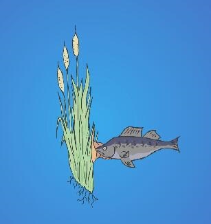 生态系统的组成成分