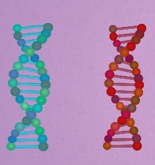 生物的性状由基因控制