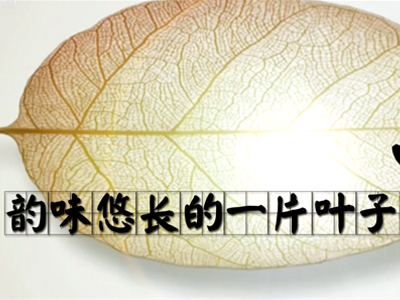 一片韵味悠长的叶子 茶