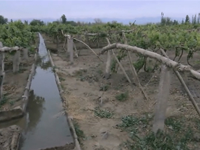 坎儿井&mdash;&mdash;生命绿洲的秘密