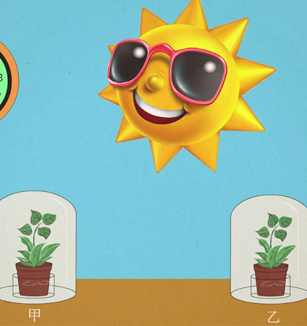 光合作用需要二氧化碳