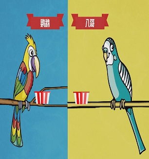 飞禽与走禽的由来 鸟的进化及分类