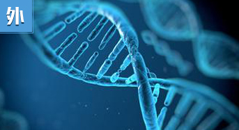 DNA双螺旋结构 开启分子生物微时代