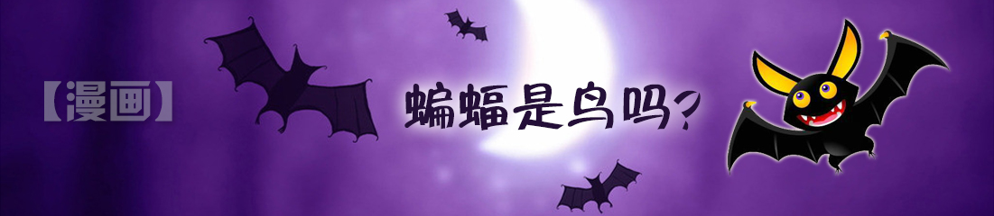【漫画】蝙蝠是鸟吗？