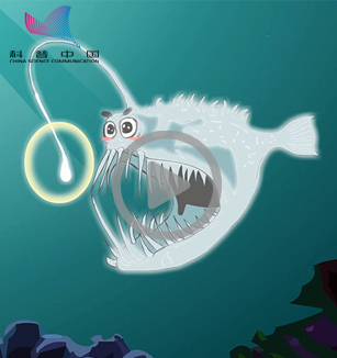 奇异的发光生物