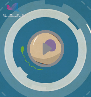 奇特的人类生殖细胞