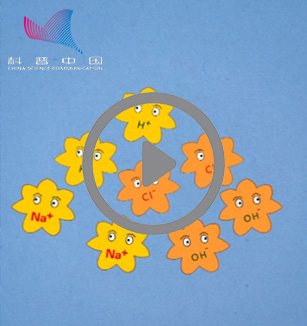 交换舞伴的化学反应