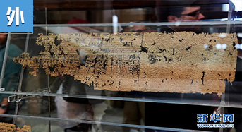 世界最古老紙莎草文獻首次在埃及展出