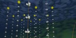 科学家&ldquo;99％肯定&rdquo;惰性中微子不存在