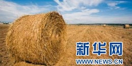 生物质发电缘何&ldquo;叫好不叫座&rdquo;？