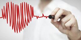 报告称欧洲每年约400万人死于心血管疾病