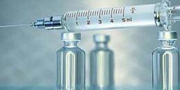 刚果（金）、安哥拉再次启动大规模黄热病疫苗接种计划