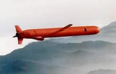 印度超音速巡航导弹射程更大 首射成功