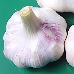 大蒜真的可以防癌吗？