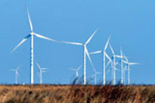 山东:风力发电成第三大电源