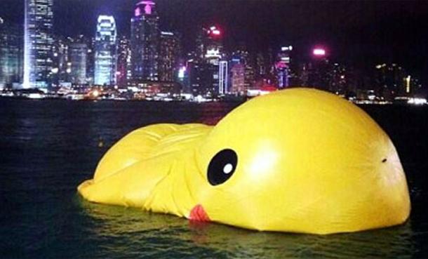 &ldquo;小黄鸭&rdquo;挂了 网友笑称&ldquo;禽流感太强大了&rdquo;