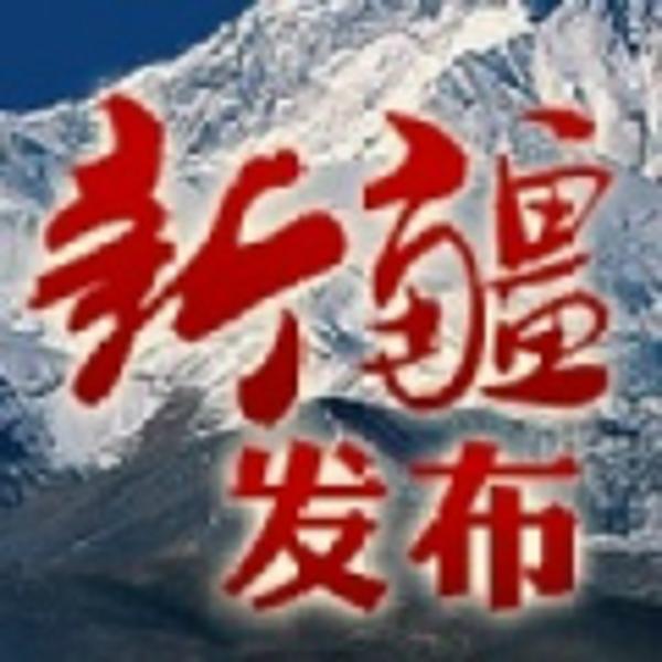 警花常鸿玲：警车是办公桌图片
