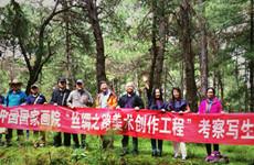 第三天：木府松林，雪山天道