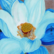 巴燕《明幻影 明》