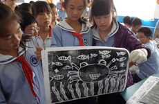 多样化的美术学习需求