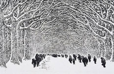 清泉长流--沙清泉百年诞辰纪念展