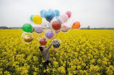 乡村振兴花为媒