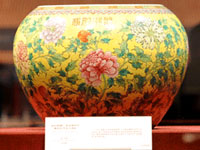 “故宫珍藏·慈禧的瓷器”首博开展