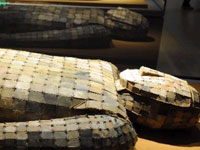 南京博物院完成扩建重新开展