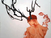 清华美院2013届本科生毕业作品展