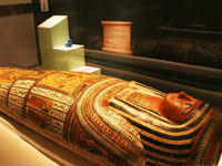 "木乃伊:古墓之谜"古埃及文物展