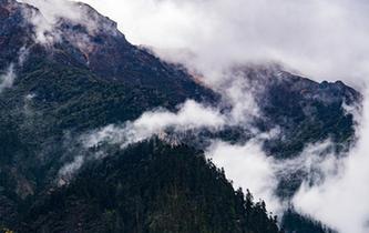 西藏林芝南伊溝雨後宛如水墨畫卷