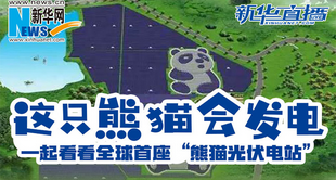 这只熊猫会发电&mdash;&mdash;一起看看全球首座&ldquo;熊猫光伏电站&rdquo;