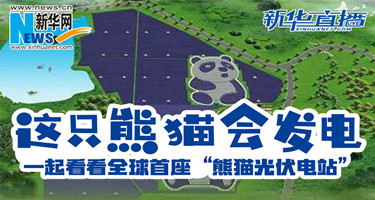 这只熊猫会发电&mdash;&mdash;一起看看全球首座&ldquo;熊猫光伏电站&rdquo;