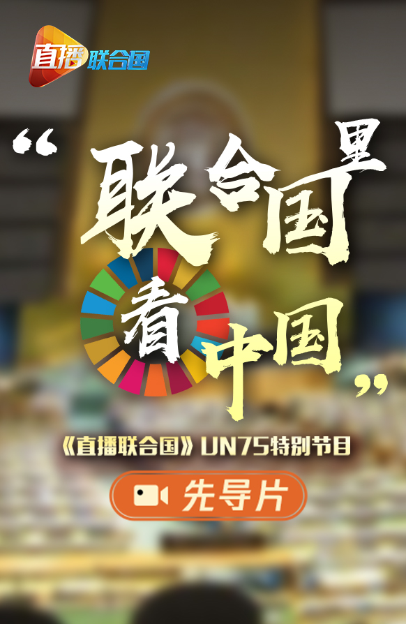 联合国日，一起来看看他们眼中的中国