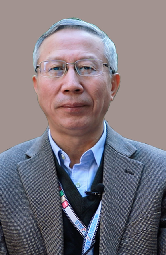 十字路口的抉择