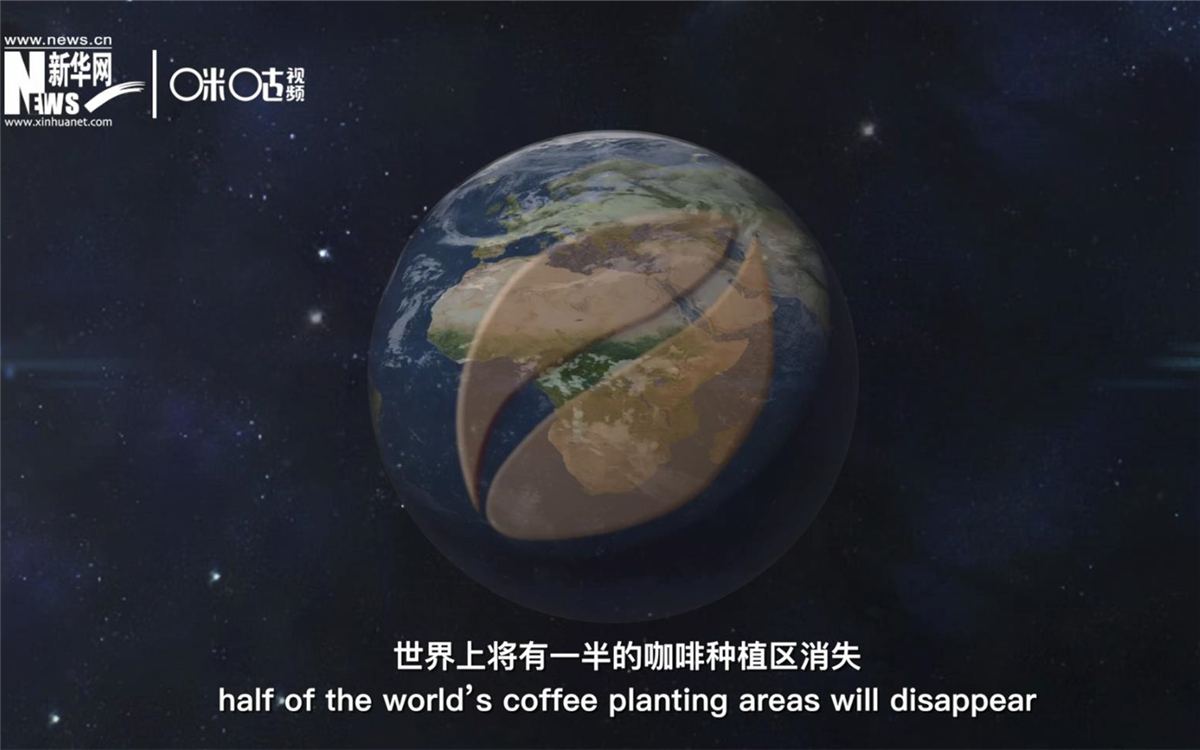 科学家预测到三十年后，世界上将有一半的咖啡种植区消失