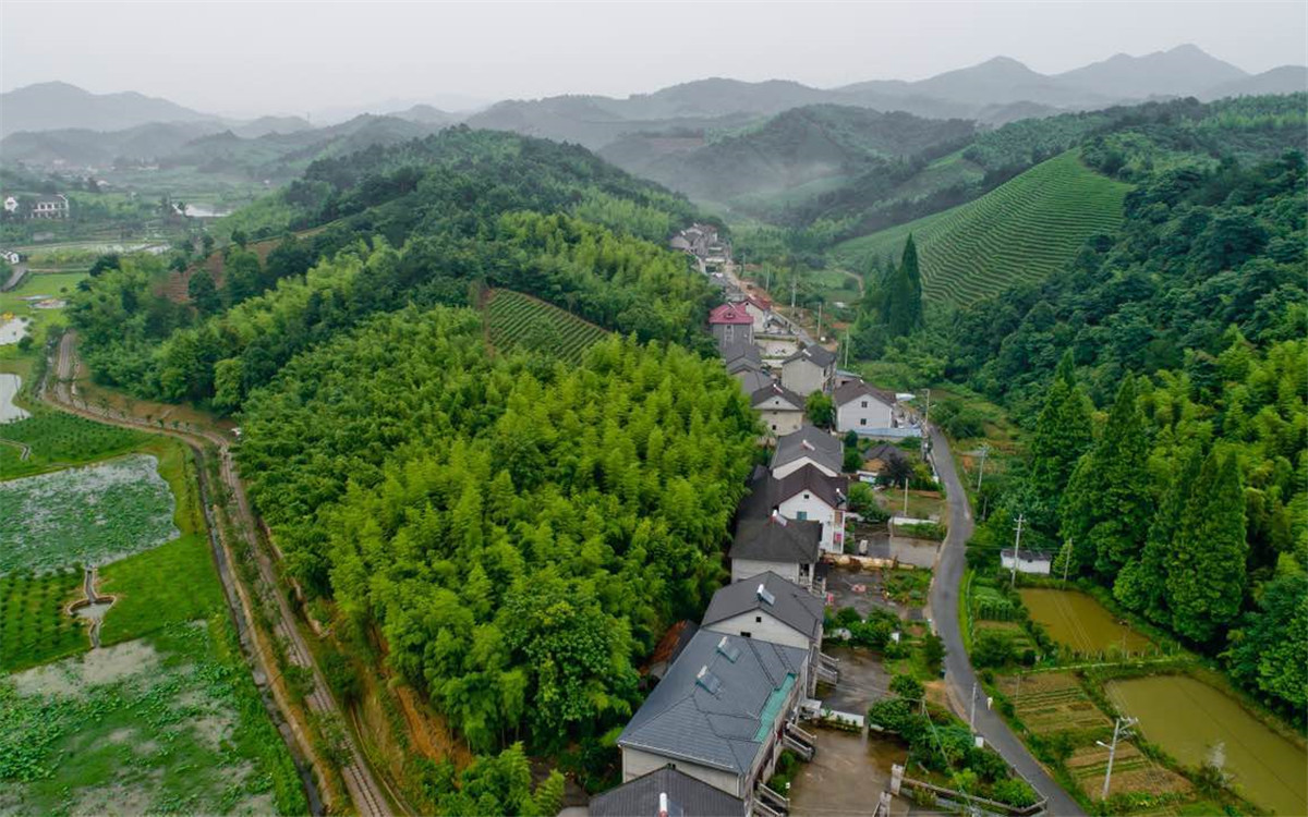 从2003年起，浙江省开展了“千村示范、万村整治”工程