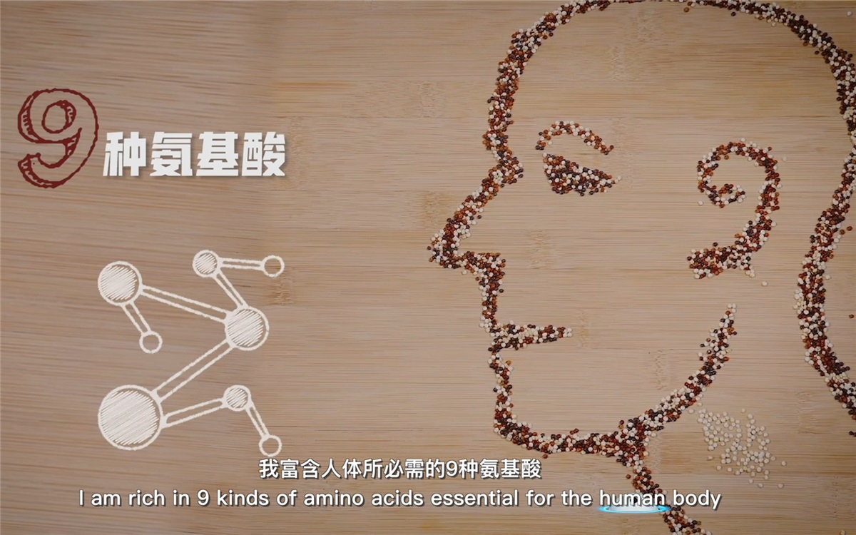 藜麦富含人体所必需的九种氨基酸