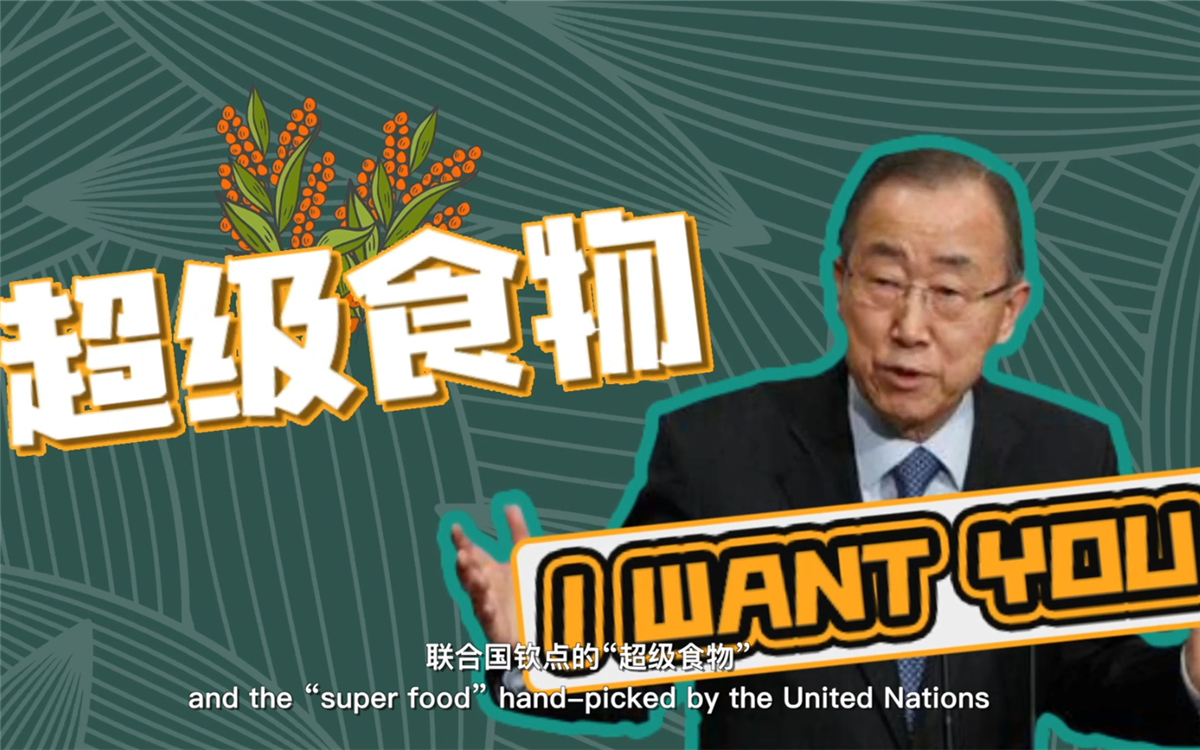 联合国将藜麦视为抗击饥饿的“超级食物”，大力推广