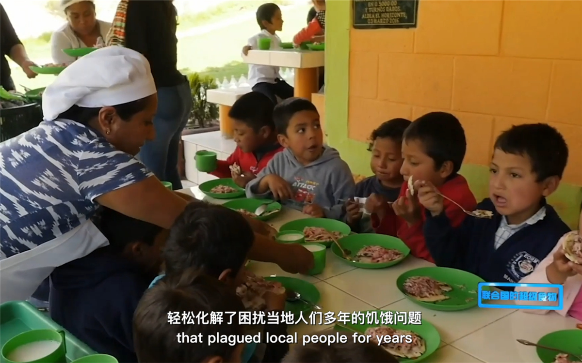 藜麦的踪迹遍布北美、欧洲、亚洲和非洲多地
