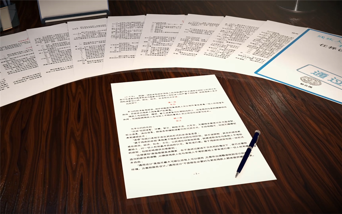 2006年12月，《残疾人权利公约》在联合国大会获得通过