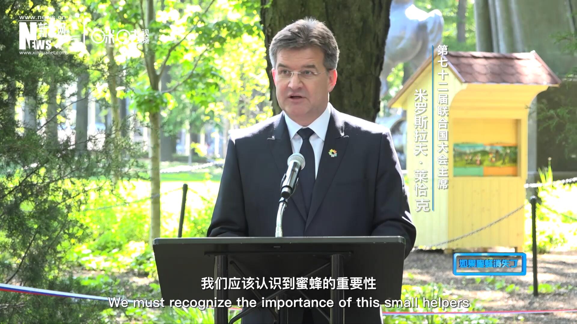 我们应该认识到蜜蜂的重要性，所以我们用“世界蜜蜂日”提高大家保护蜜蜂的意识，并且用实际行动去保护蜜蜂