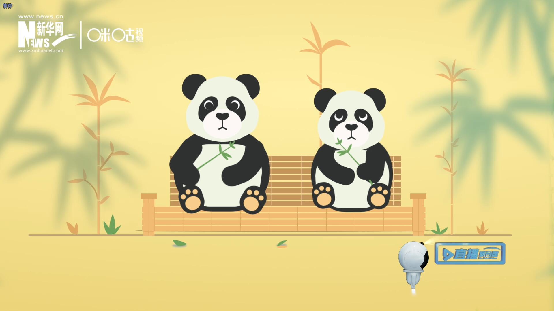 “哥哥你看，又有人来看我们了。”“有什么奇怪的，我们可是联合国‘最萌’的大使啊！”。