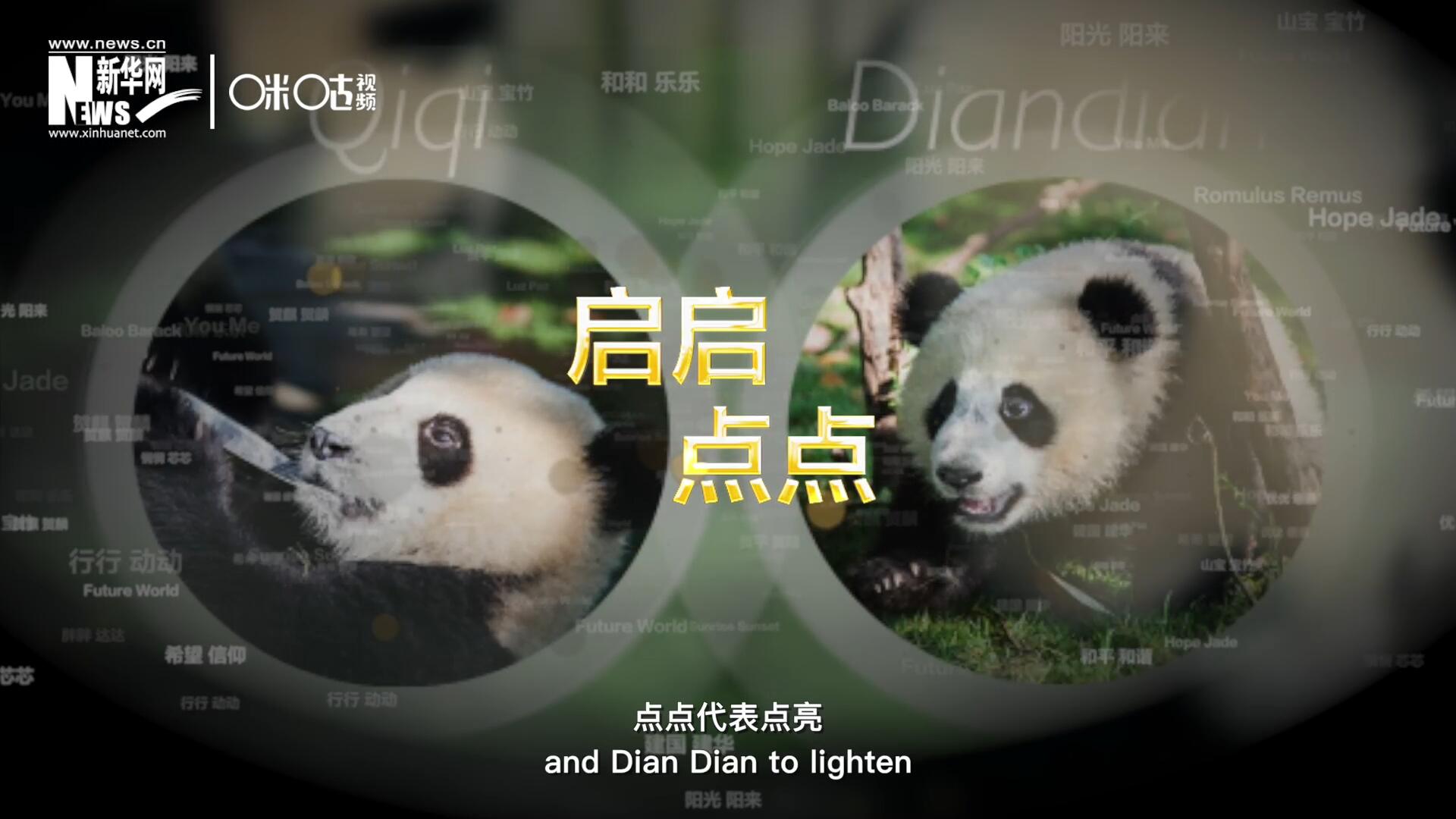 启启代表“启发”，点点代表“点亮”，象征着2030年可持续发展议程 的“起点”，也象征着全球可持续发展路径的新起点。