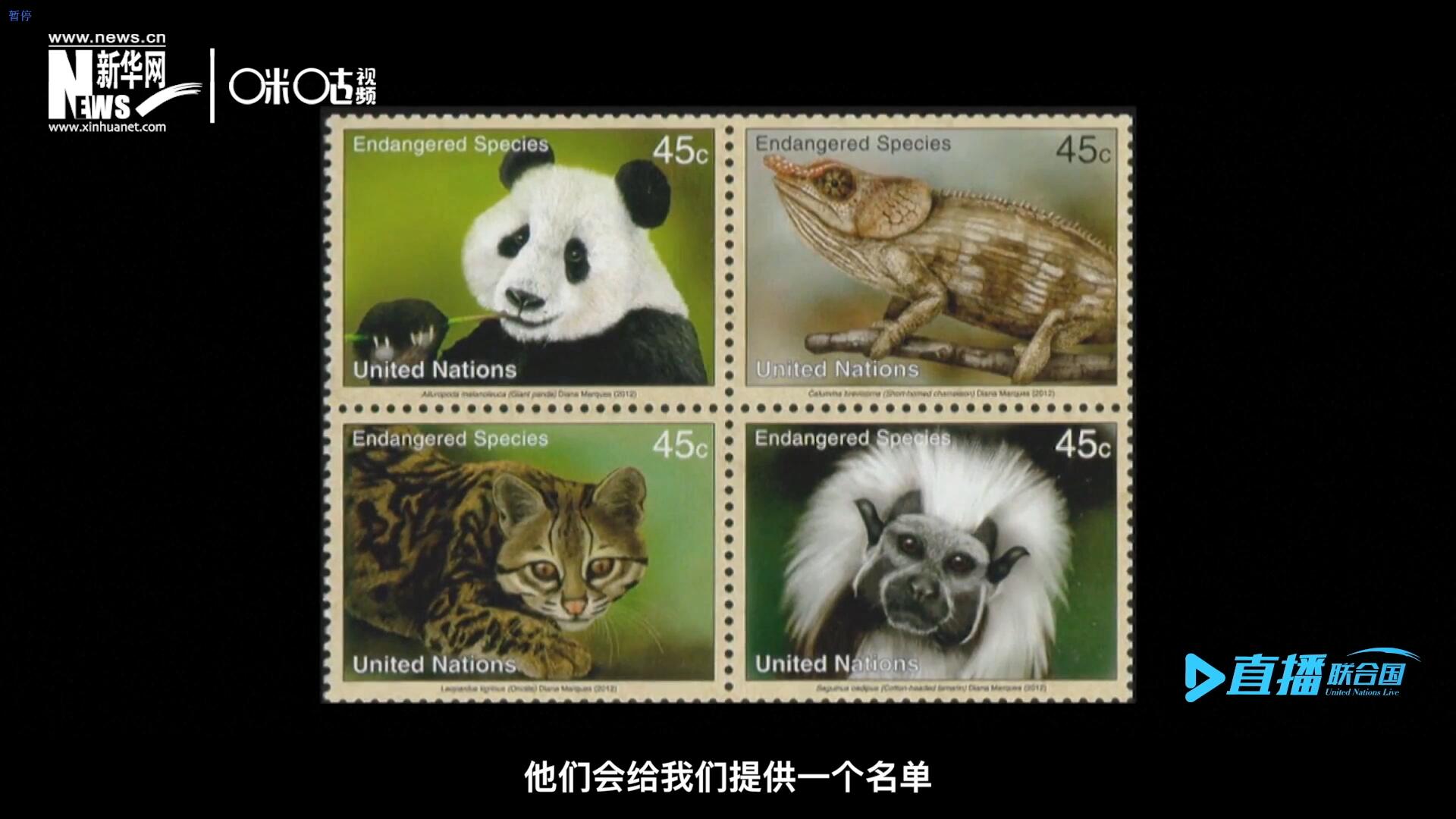 CITES（濒危野生动植物种国际贸易公约）会给联合国邮政设计师提供一个名单，双方共同合作在附录中找到名单中应该受到关注的动物。