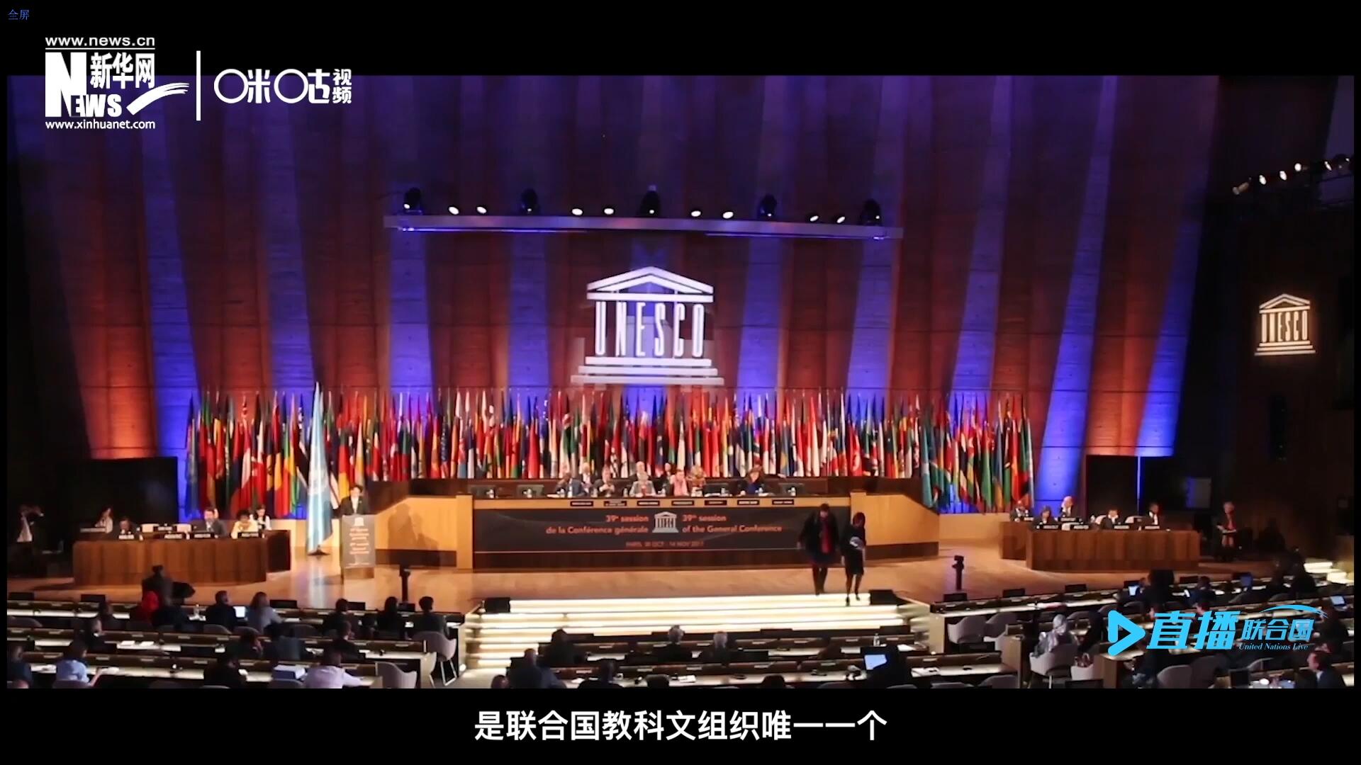 民间艺术国际组织成立于1979年，是联合国教科文组织唯一一个以保护和挖掘国际民间艺术为工作中心的国际机构。