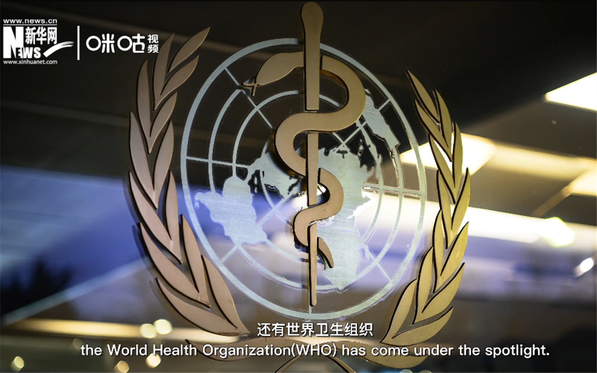 世卫组织在全球公共卫生方面发挥领导和协调作用。