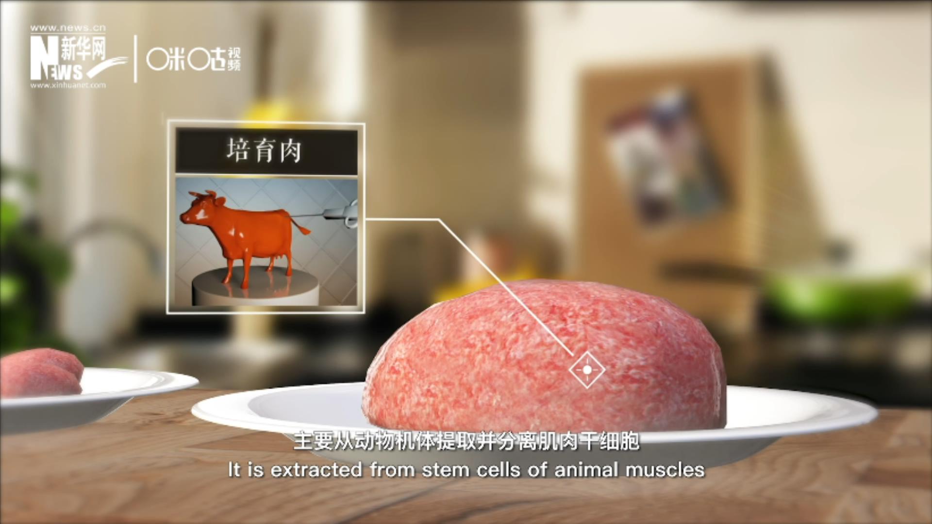 培育肉主要是從動物機體提取並分離肌肉幹細胞，在實驗室裏培養而成